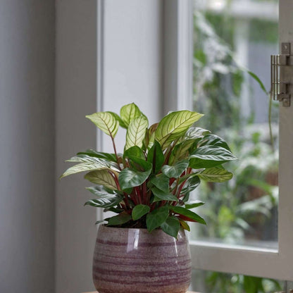 3150121_Atmosphere_01_SQ_dc2ada27-d6d2-432f-8c36-c69d52c3cc3f