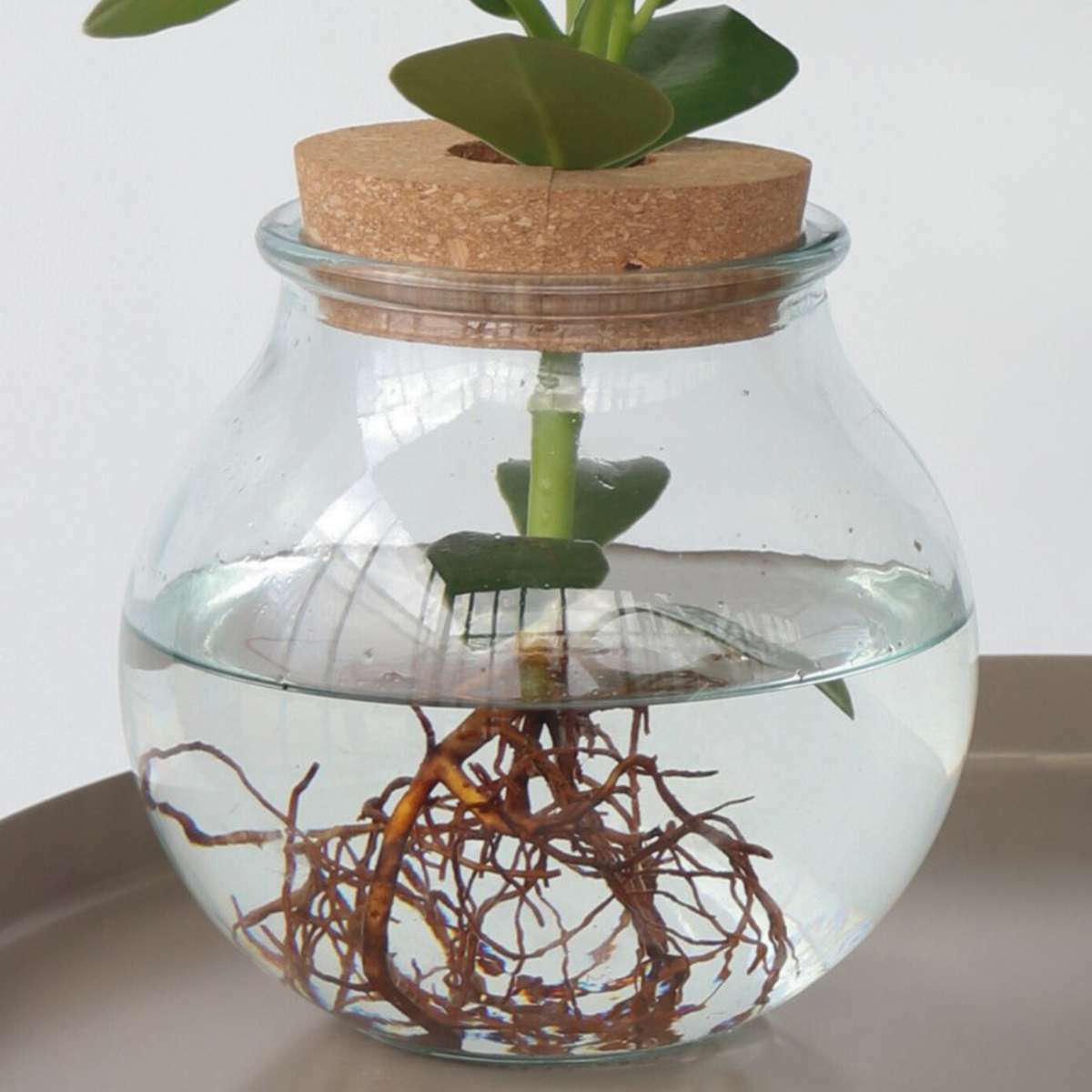 3151101_Closeup_02_SQ_e0846ed5-e437-4ed4-a60f-3ebc6d548dab