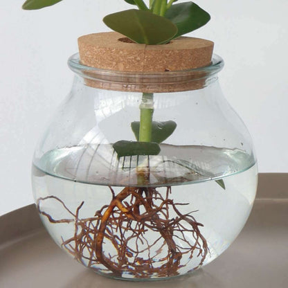 3151101_Closeup_02_SQ_e0846ed5-e437-4ed4-a60f-3ebc6d548dab