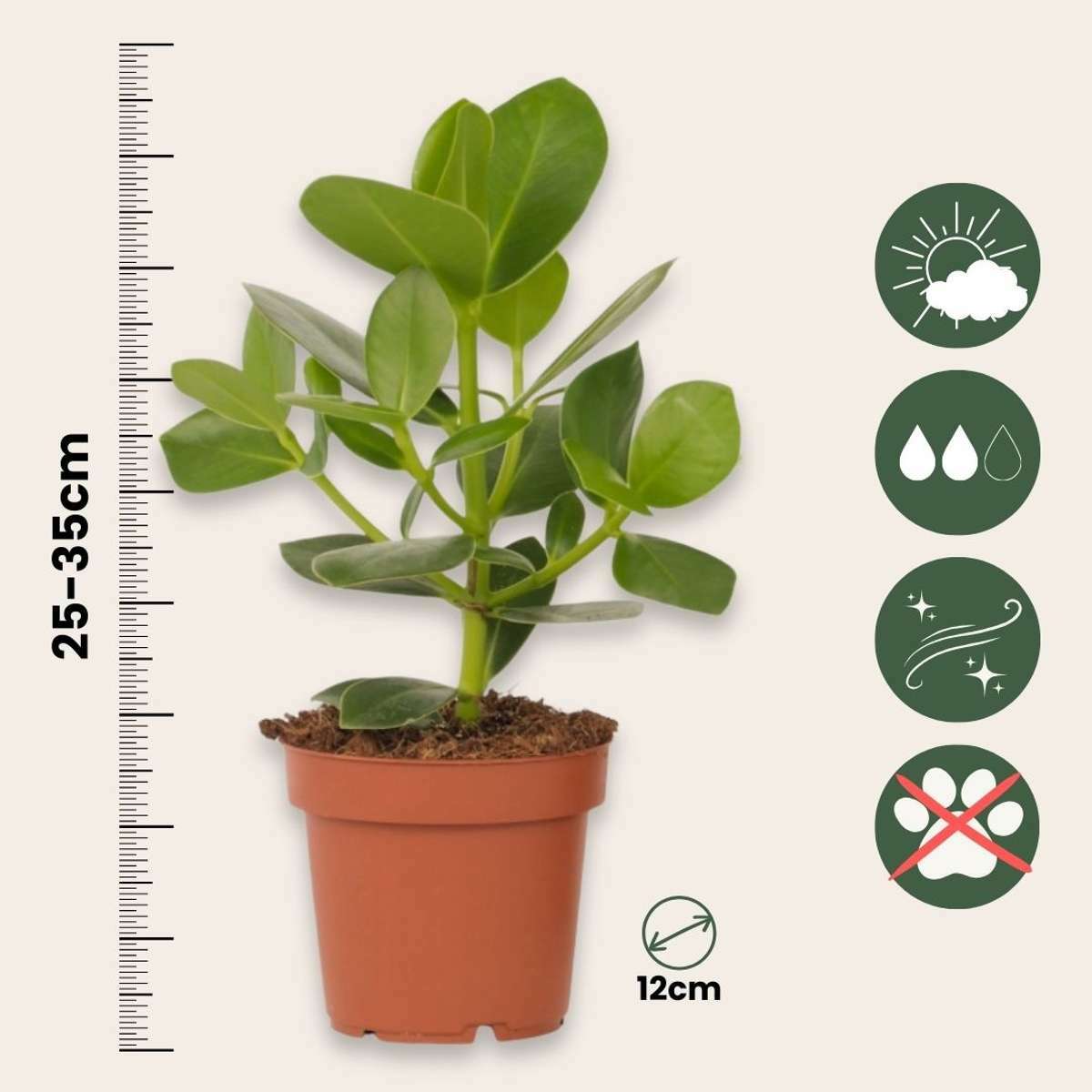 3151204_Sizeindicator_01