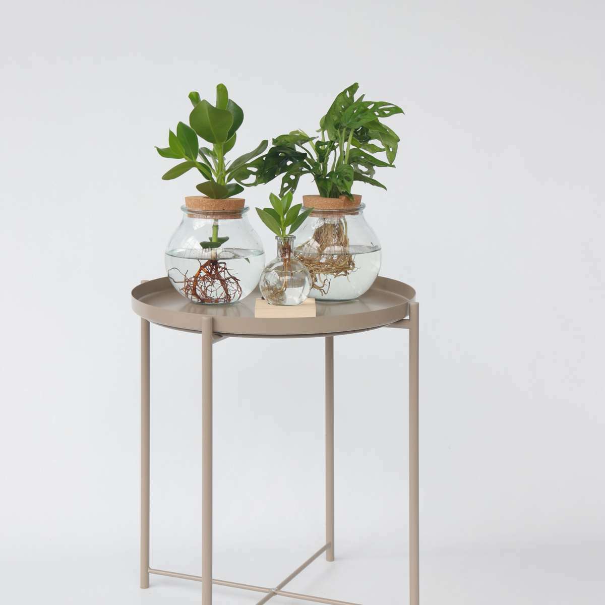 3151301_Atmosphere_01_SQ_fcb56f78-fa02-48f6-a9ef-eae36fa19c08