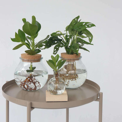 3151301_Atmosphere_03_SQ_14638cd1-1e9a-4381-b410-f926e8c159b3