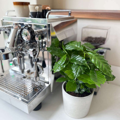 3161202_Atmosphere_20_SQ_f3c6a526-c561-45eb-894a-7d3df1f0ff05