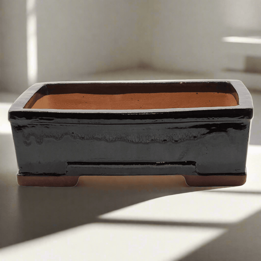 31cm_Glazed_Bonsai_Pot_Rectangle_31cm_x_25cm_x_10cm_Black_-_Yorkshire_Bonsai-21454