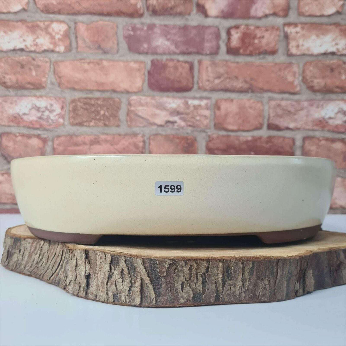 32cm_Glazed_Bonsai_Pot_Oval_32cm_x_26cm_x_7cm_White_-_Yorkshire_Bonsai-21695