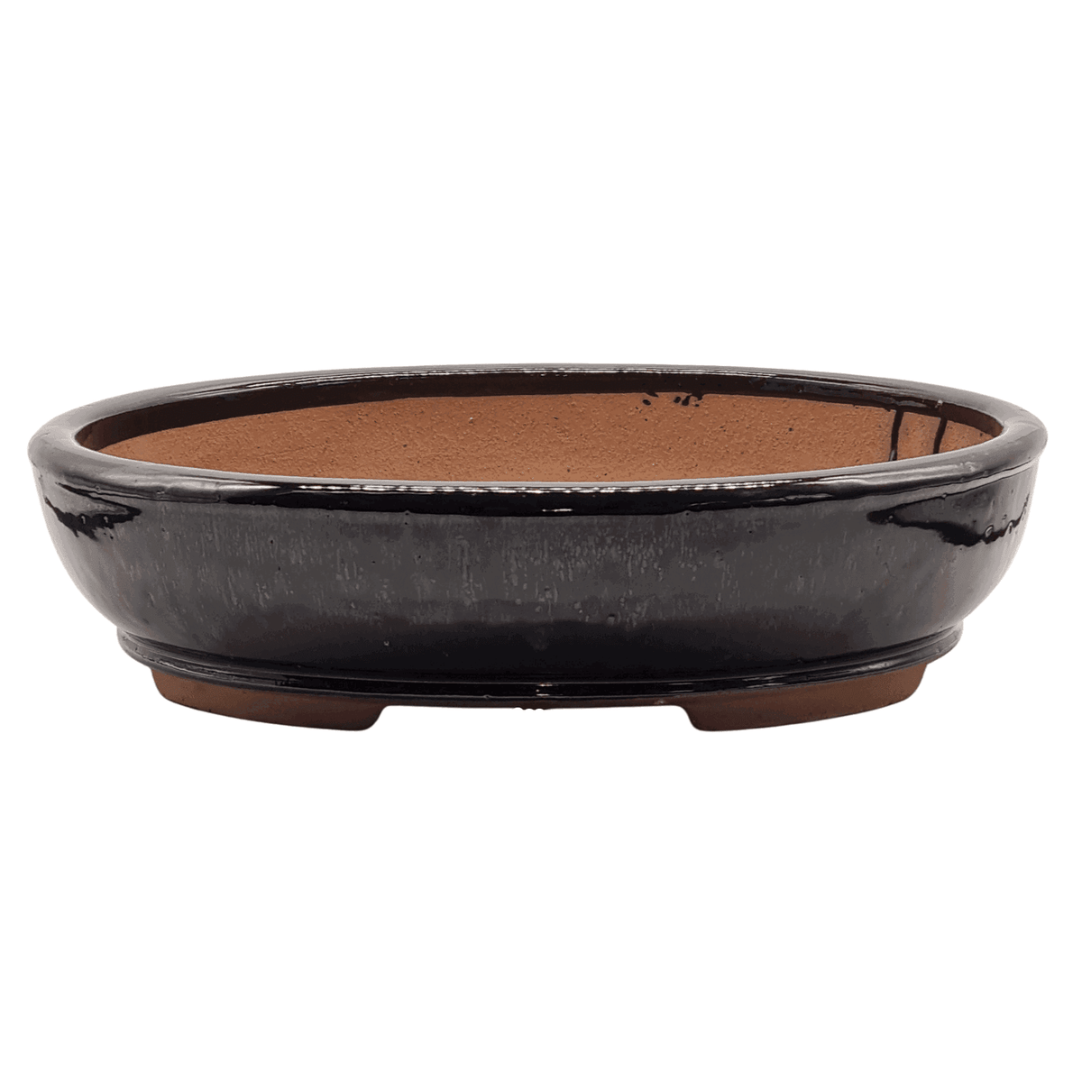 37cm_Glazed_Bonsai_Pot_Oval_37cm_x_31cm_x_9cm_Black_-_Yorkshire_Bonsai-21938