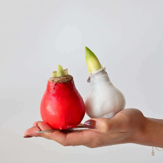 4007002_Atmosphere_01_SQ_90044354-4bc9-48fb-afe4-4bafab381773