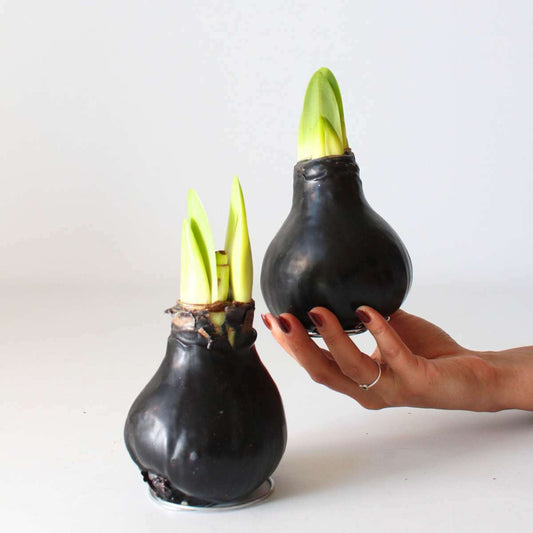 4007022_Atmosphere_01_SQ_c130029f-143f-4c5d-b3d9-e02b604beb8a