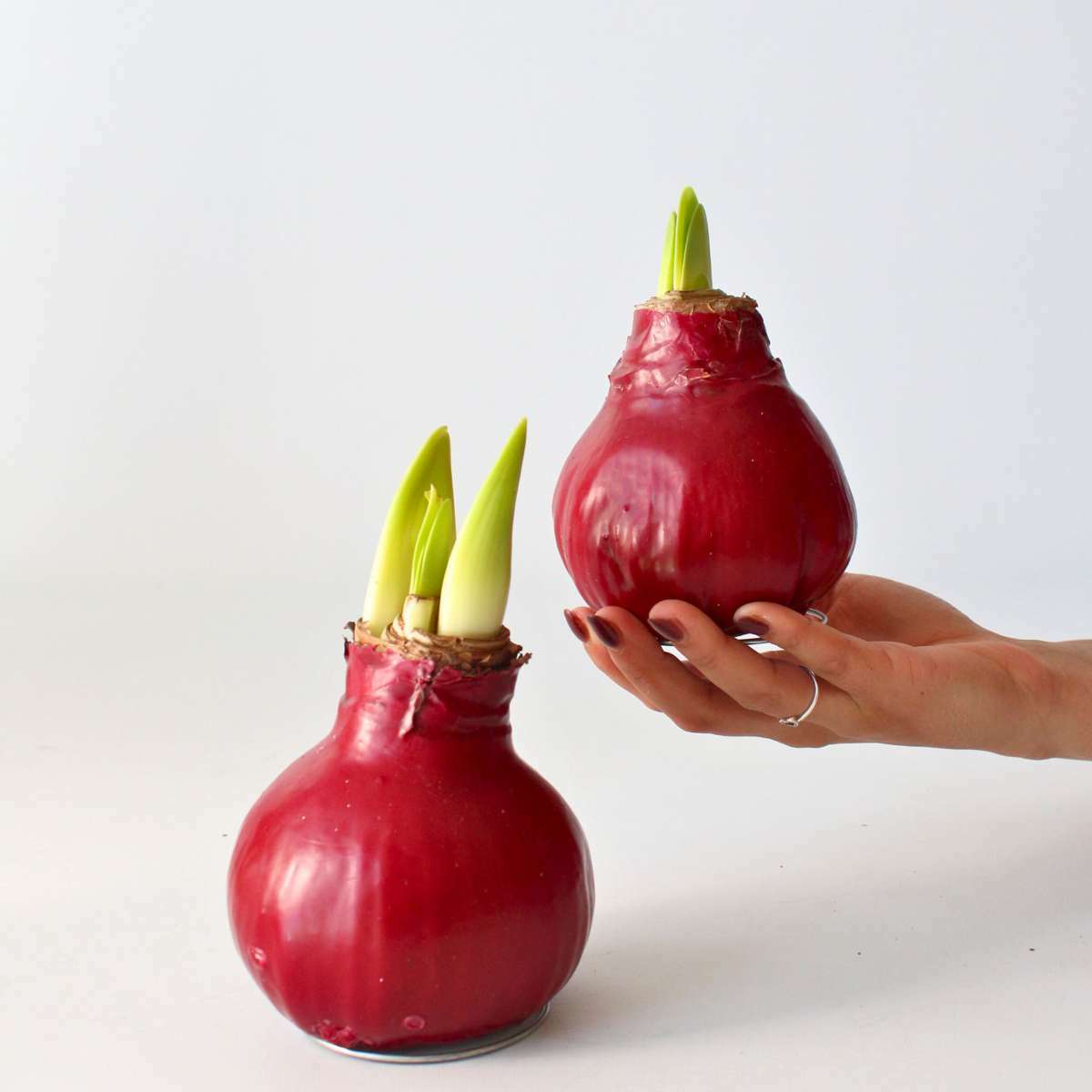 4007032_Atmosphere_01_SQ_42975b74-c414-464a-8aab-6703fad51683