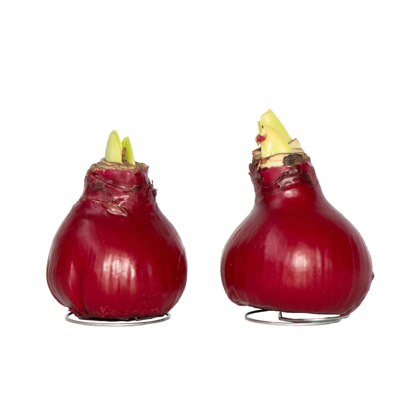 4007032_Productimage_03_SQ