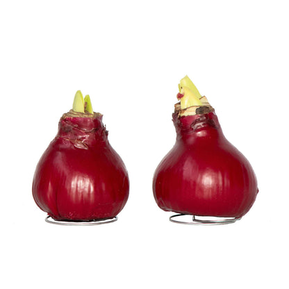 4007032_Productimage_03_SQ