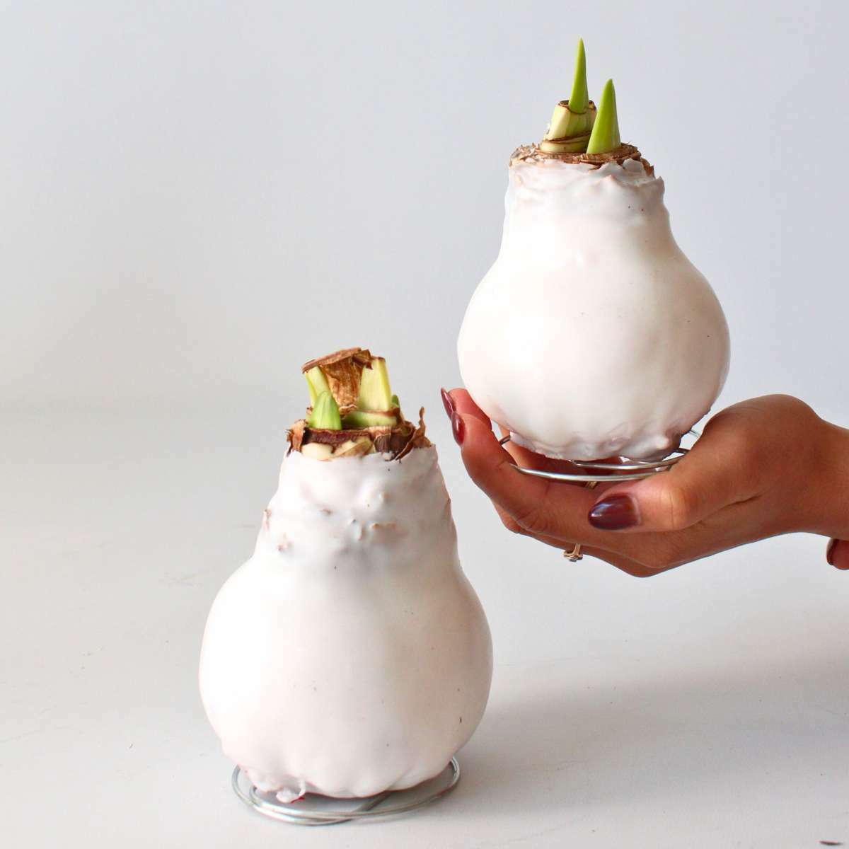 4007052_Atmosphere_01_l8to31_6d2436ba-5ebf-48fd-8a19-7d15e9a34001