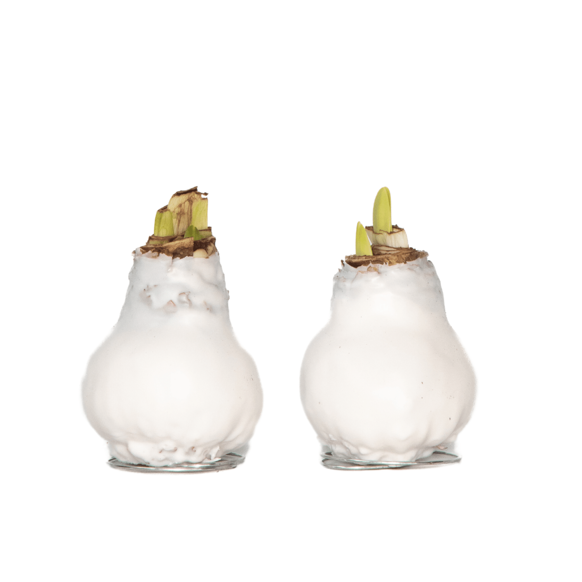 4007052_Productimage_03_SQ