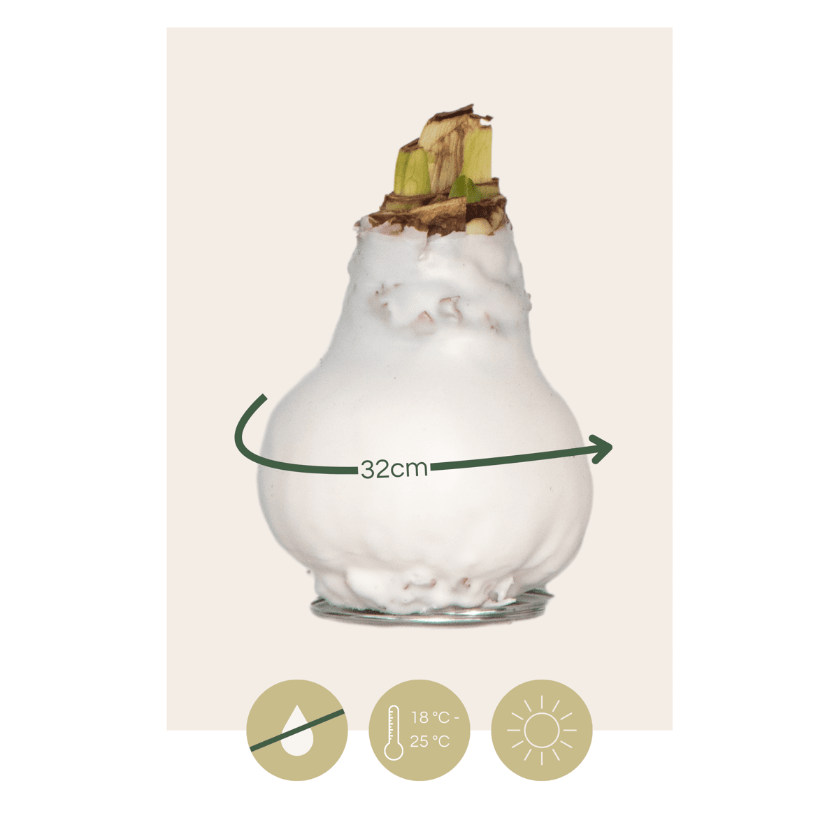 4007052_Sizeindicator_01_e36d66b3-9a7b-49eb-86ee-b25461053a85