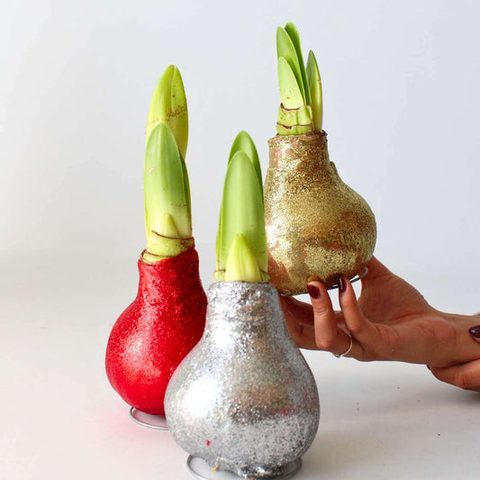 4009003_Atmosphere_01_SQ_48433f64-c60a-4ec2-b5e9-5158f79a16cb