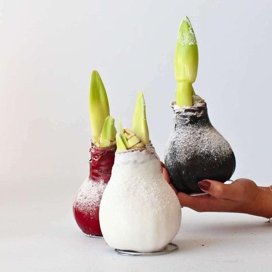 4029003_Atmosphere_SQ_3319595f-0fd3-48ab-9f10-4159362925c7