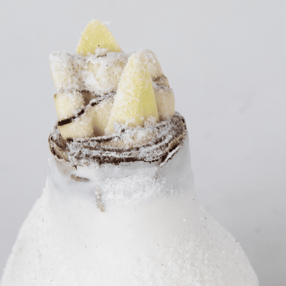 4029003_Close-up_01_SQ_794d7b1e-9355-47cd-b4c8-6ace47473d31