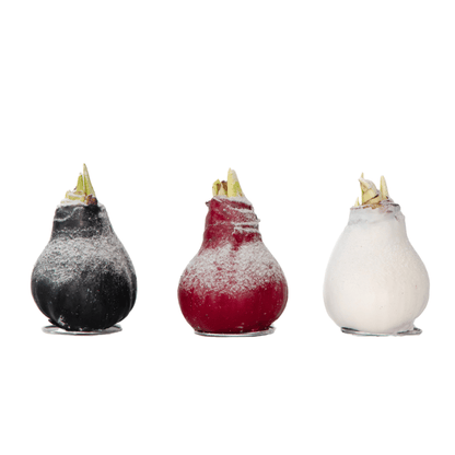 4029003_Productimage_03_SQ