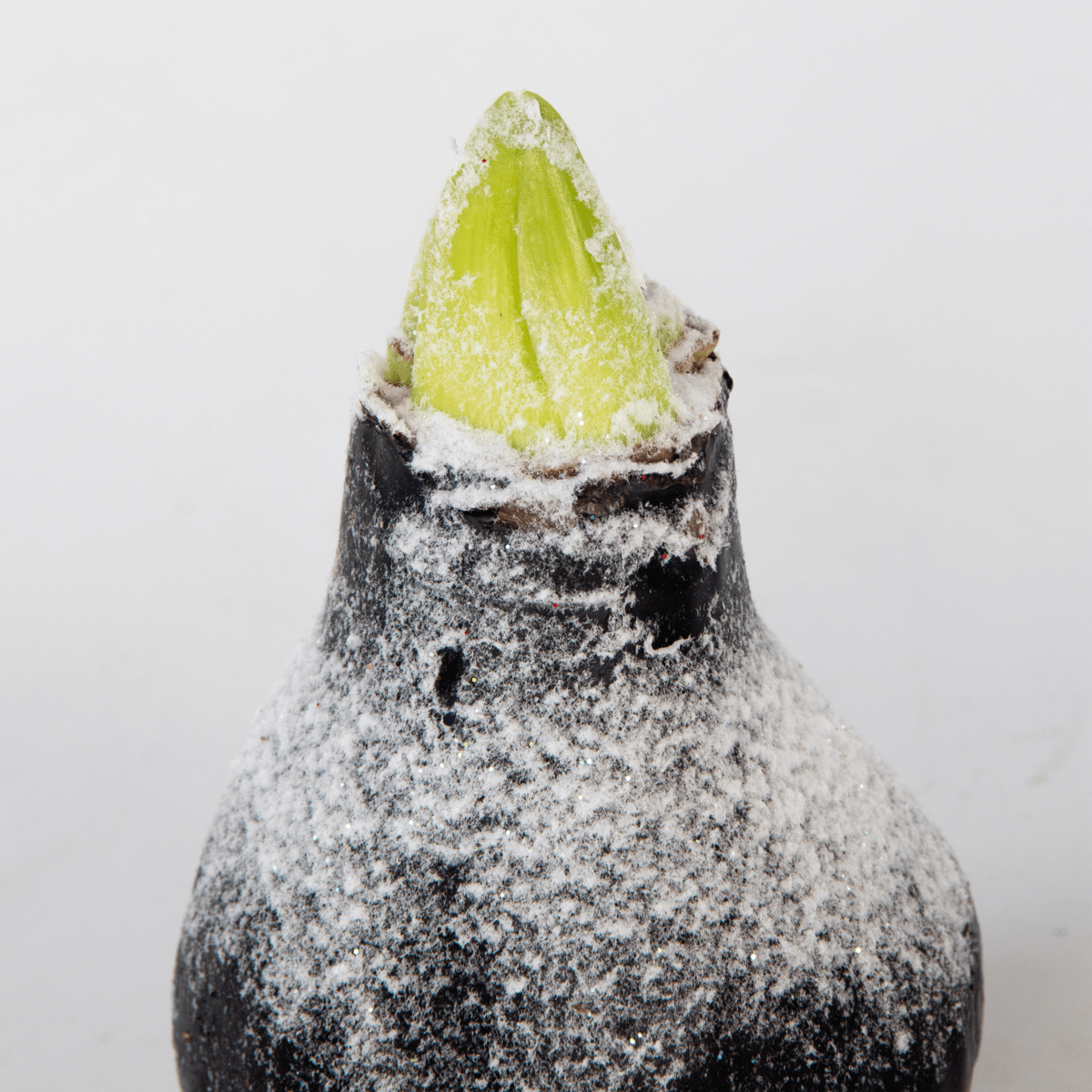 4029011_Close-up_01_SQ_c384e38b-0cfa-491b-911d-585dbe12c141