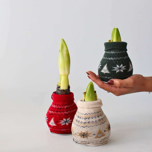 4031003_Atmosphere_01_SQ_e4e18cd7-483d-4f49-8049-9adf8469a8bc