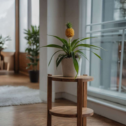 4215142_Atmosphere_01_SQ_357bbf20-7f26-499a-b605-7ed9f57a1ed7