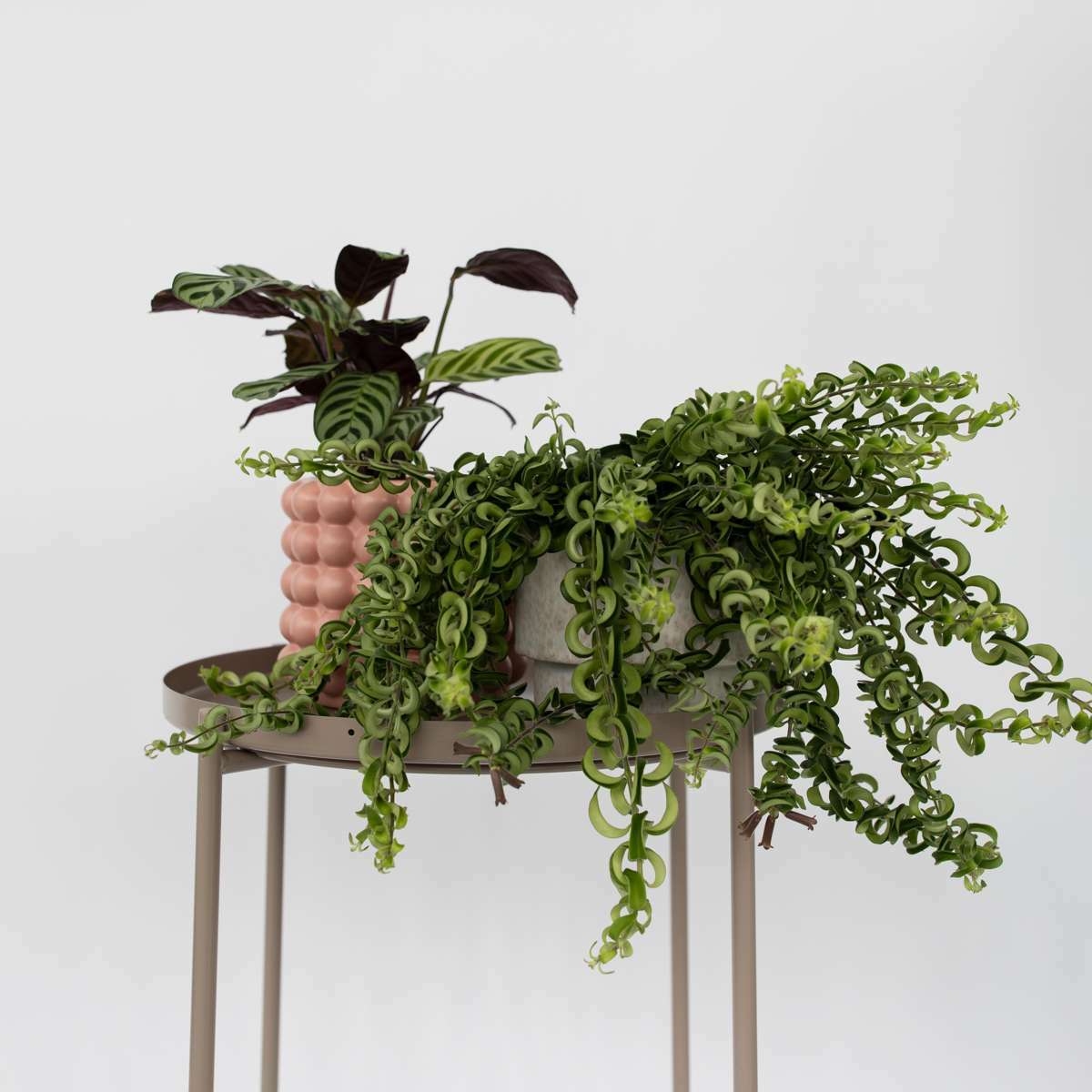 4230152_Atmosphere_02_SQ_ba627e67-a22c-48aa-9f46-a86de4407720