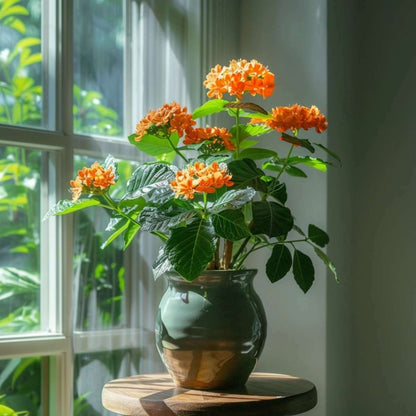 4516132_Atmosphere_01_SQ_a7578593-8282-4cd0-bad5-973294ba48b9