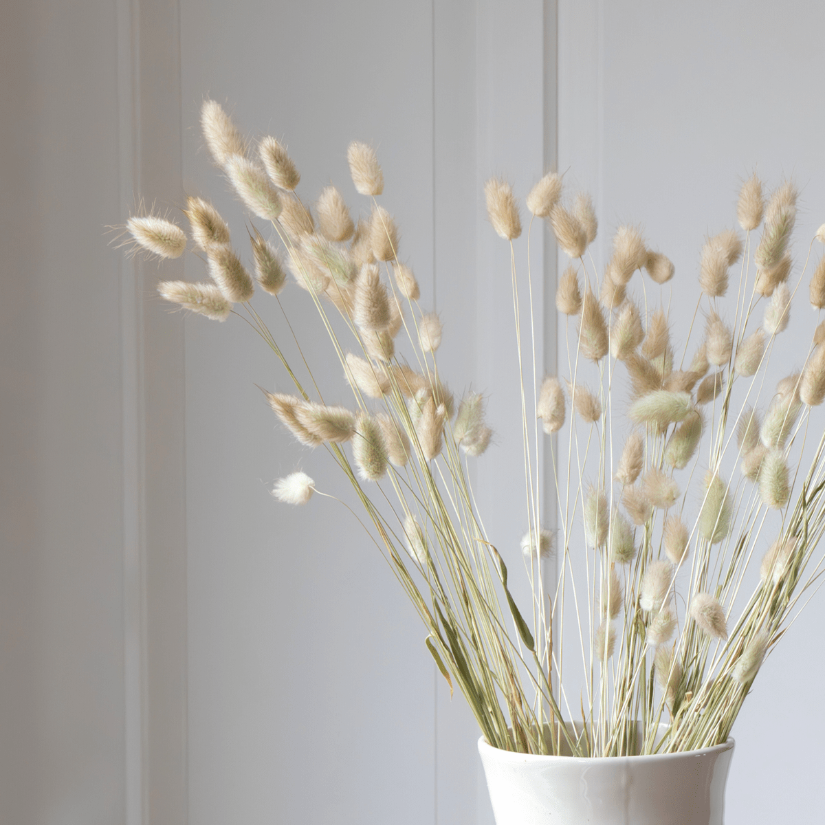 4603005_Closeup_01_SQ