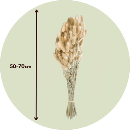 4603005_size_indicator_1