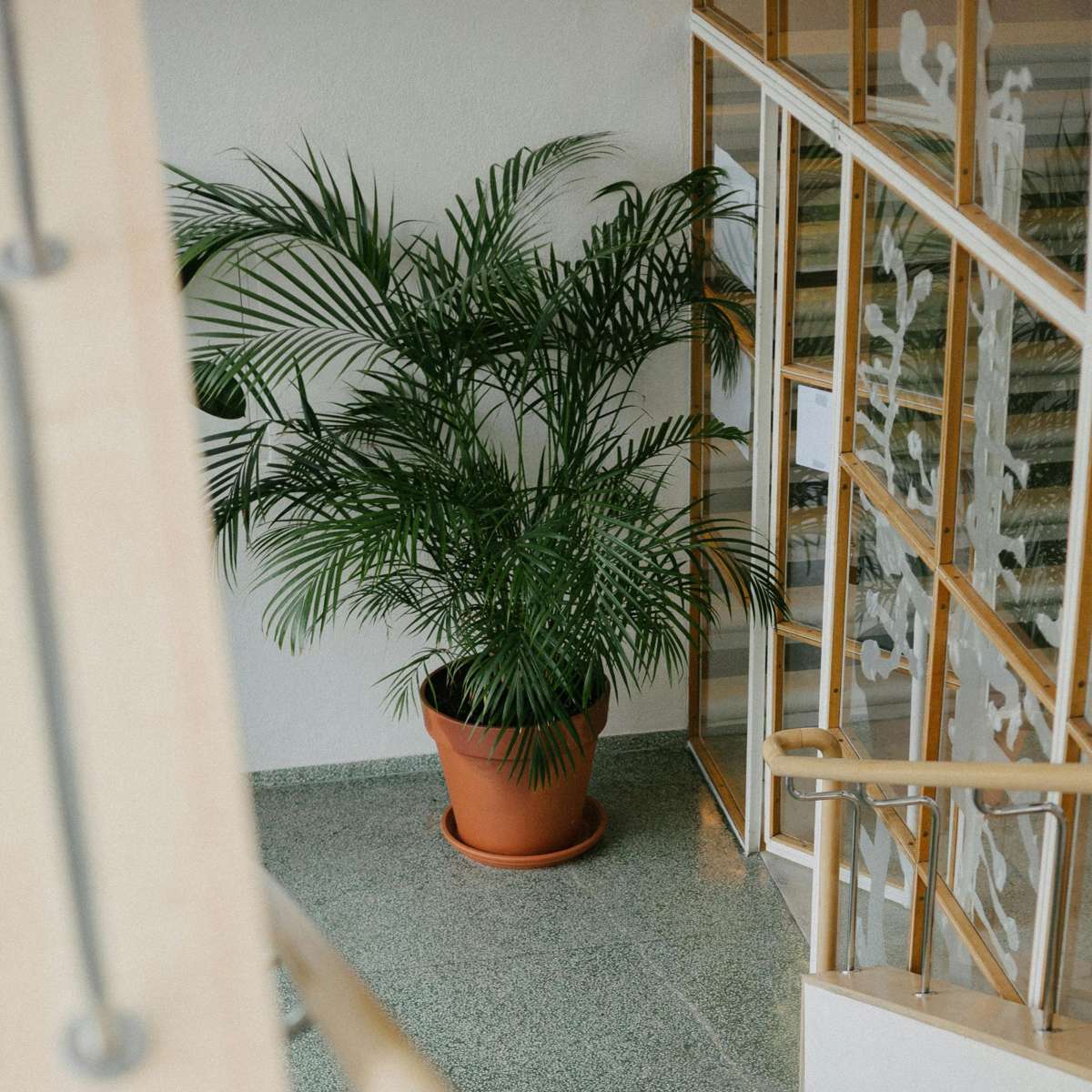 4715201_Atmosphere_01_SQ_f49b5eb4-b6c6-4a40-b7fa-bef2eb51b9f3