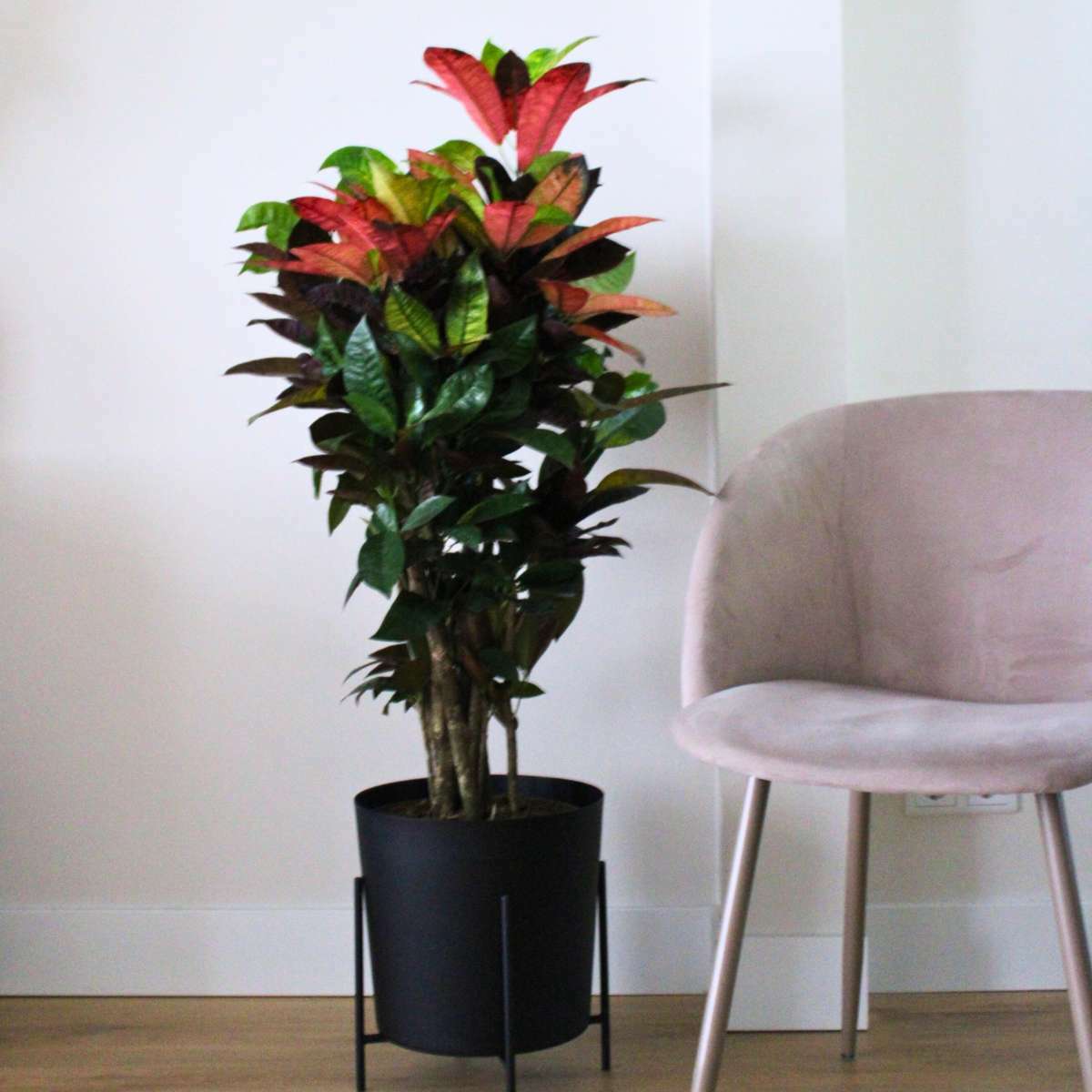 4843271_Atmosphere_01_SQ_e99fa54f-a445-4415-9263-547e6481638c