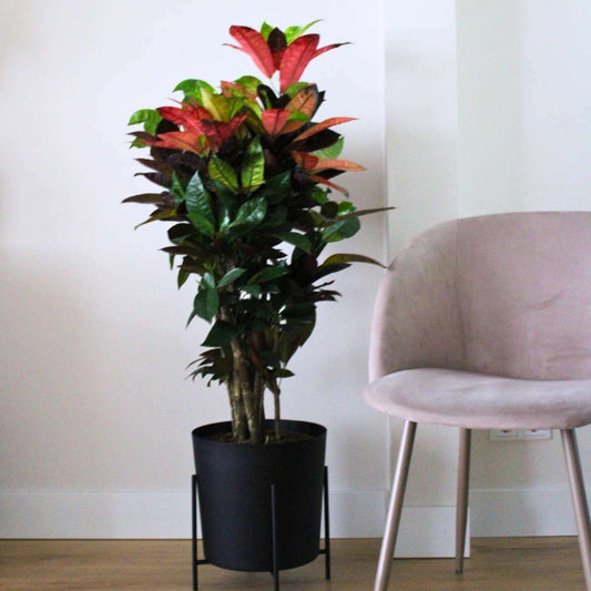 4843271_Atmosphere_01_SQ_e99fa54f-a445-4415-9263-547e6481638c