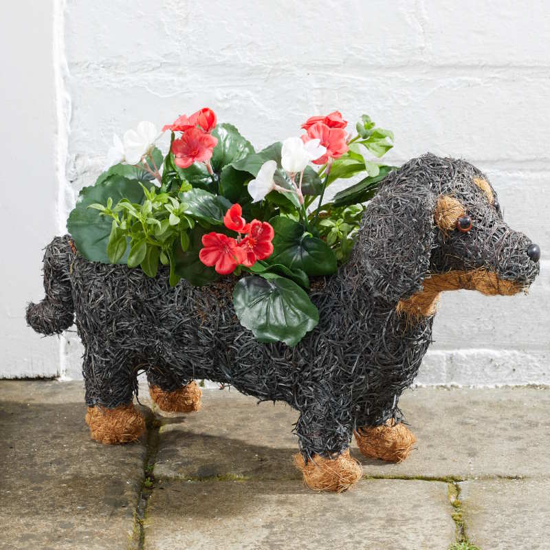 Sausage Dog Planter with plants