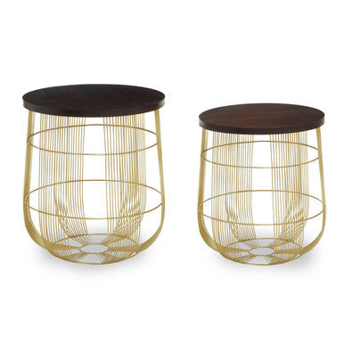 Agra Mango Wood and Brass Finish Set of 2 Side Tables