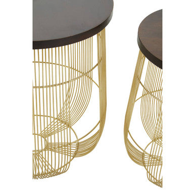 Agra Mango Wood and Brass Finish Set of 2 Side Tables