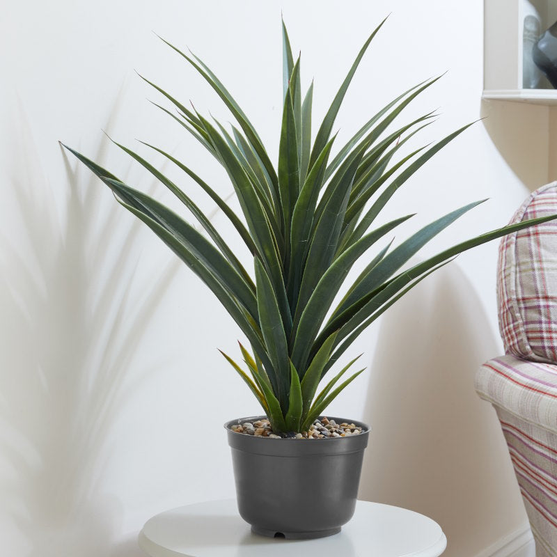 Artificial Spiky Sisal Plant in a living room