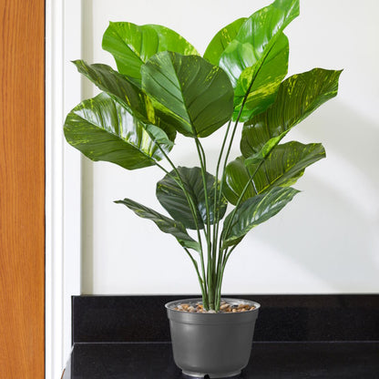 Artificial Leopard Lily Plant on a kitchen top