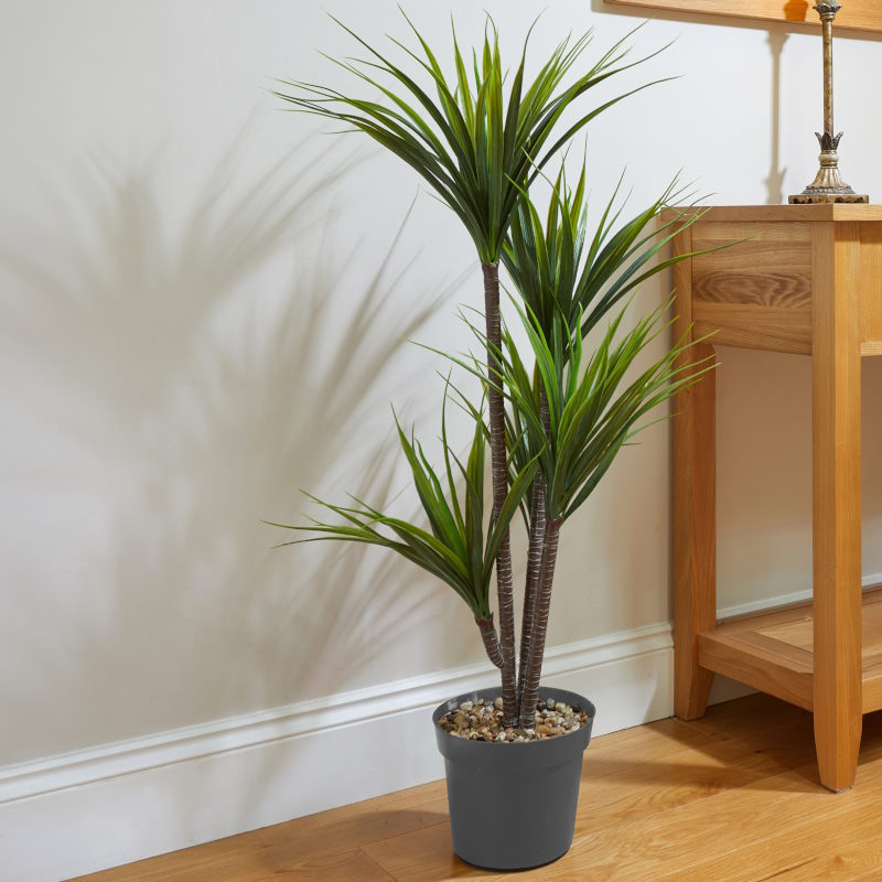 Artificial Dragon Tree Dracaena Marginata Plant in a hallway