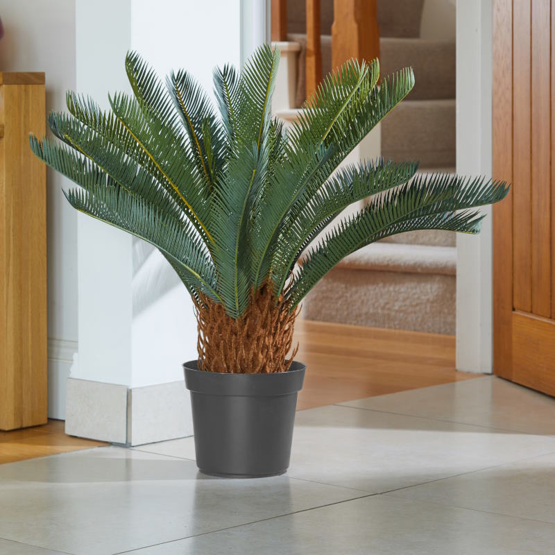 Artificial Sago Palm Plant in a hallway