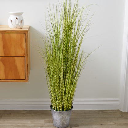 Artificial Zebra Grass Plant in a hallway