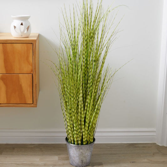 Artificial Zebra Grass Plant in a hallway