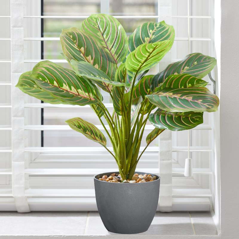 Artificial Calathea Prayer Plant on a windowsill