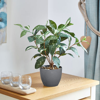 Artificial Japanese Laurel Plant on a side table