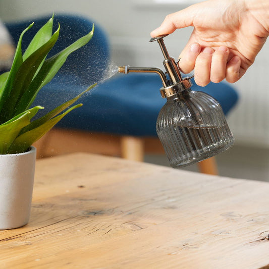 Indoor Glass Plant Mister spraying houseplant