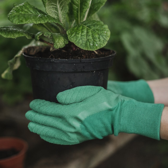 Ultimate All Round Ladies Gardening Gloves Green in use