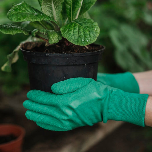 Ultimate All Round Ladies Gardening Gloves Green in use