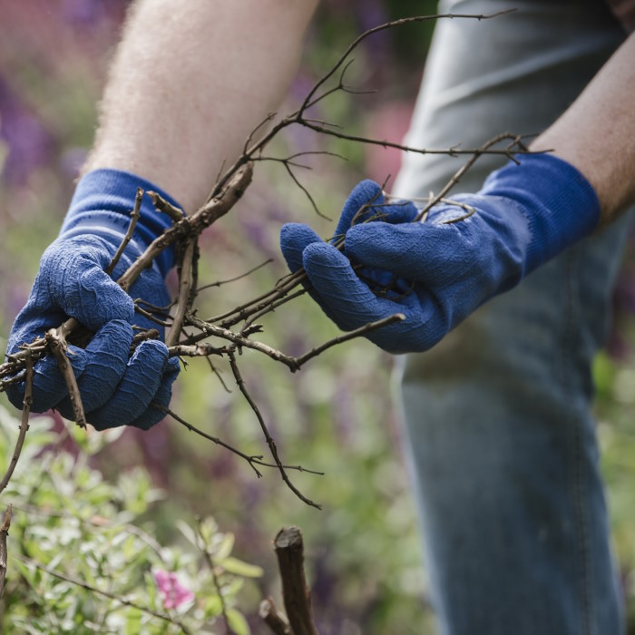 Ultimate All Round Mens Gardening Gloves Navy Large holding twigs