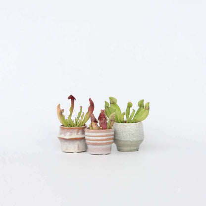 7011553_Productimage_02_SQ_773effef-fcab-4cb9-b55d-8511f45fb667