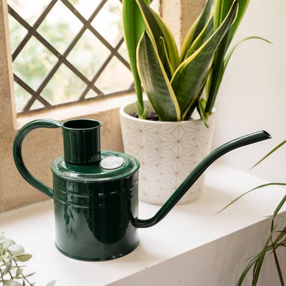 Kent and Stowe Indoor Metal Watering Can 1ltr Forest Green with houseplant