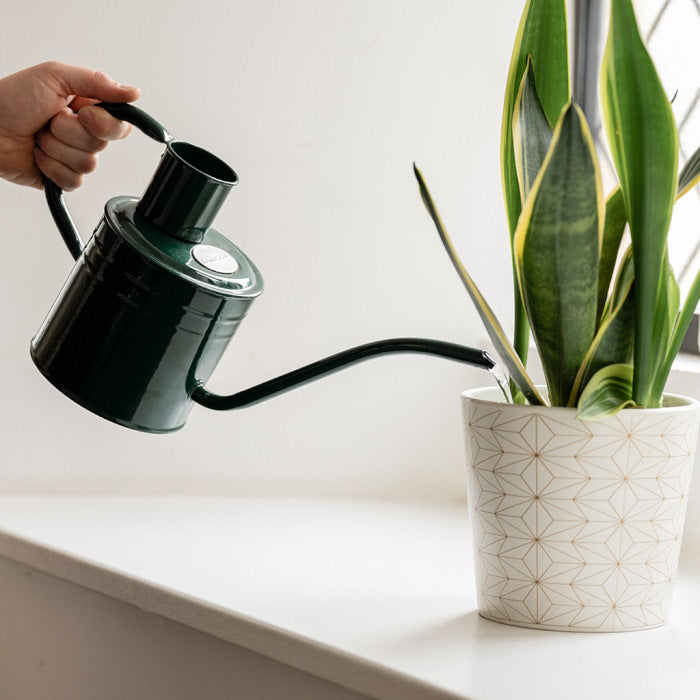 Kent and Stowe Indoor Metal Watering Can 1ltr Forest Green in use